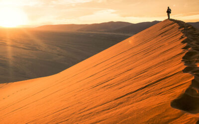 The Desert Refuge Revisiting a Lockdown Meditation
