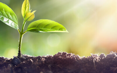 Organic Thelema The Great Commission: Promulgation vs Proselytization