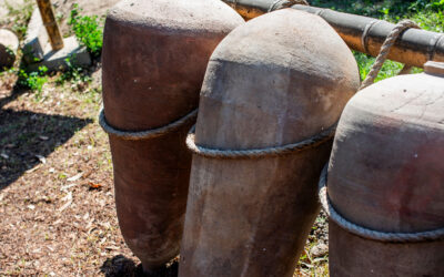 New Wine in Old Skins The Conundrum of Tradition and Innovation